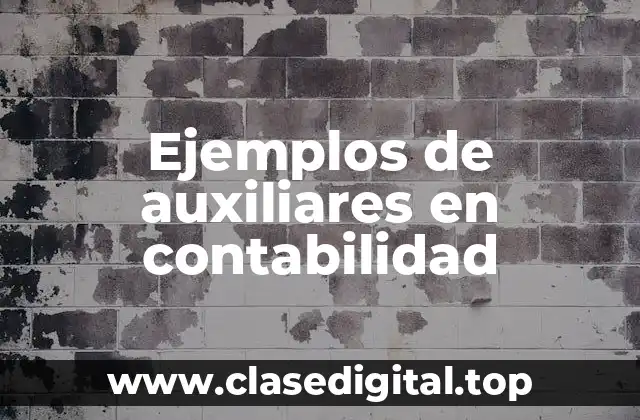 Ejemplos de auxiliares en contabilidad