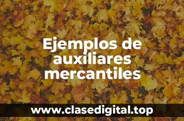 Ejemplos de auxiliares mercantiles