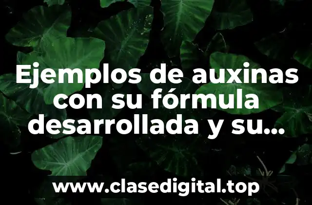 Ejemplos de auxinas