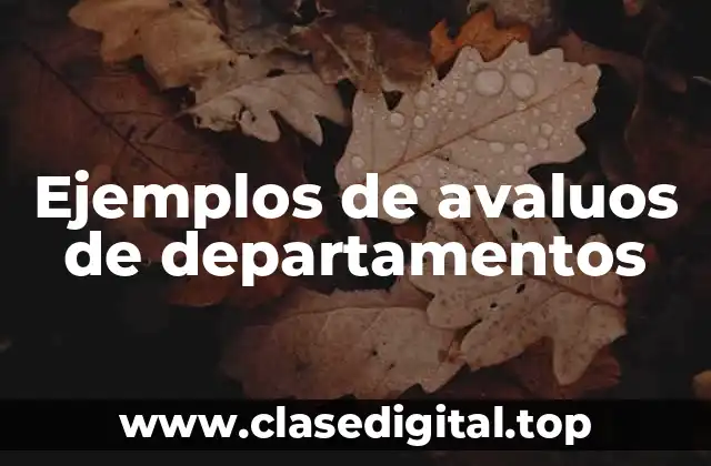 Ejemplos de avaluos de departamentos