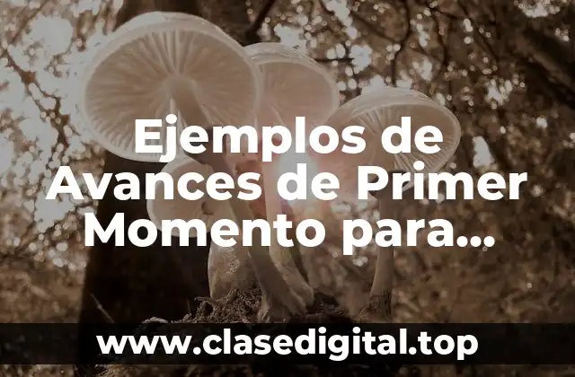 Ejemplos de Avances de Primer Momento para Preescolar
