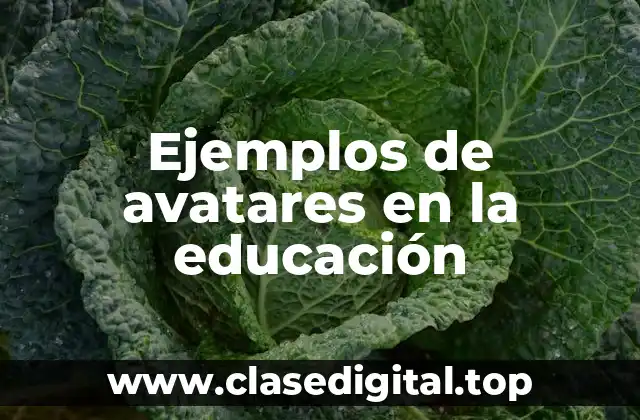 Ejemplos de avatares en la educación