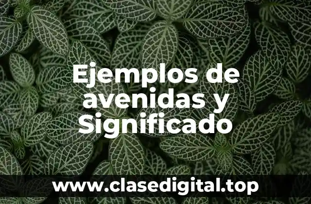 Ejemplos de avenidas y Significado