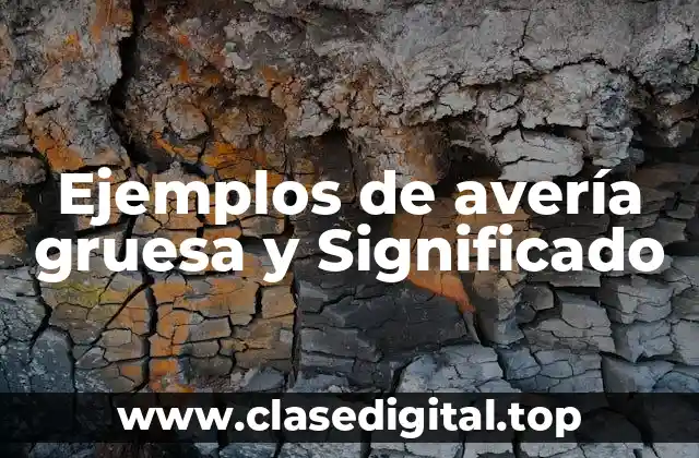Ejemplos de avería gruesa y Significado