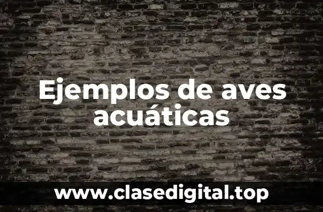 Ejemplos de aves acuáticas