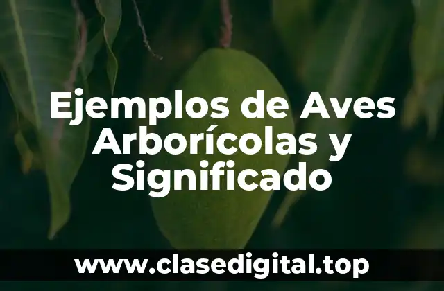 Ejemplos de Aves Arborícolas y Significado