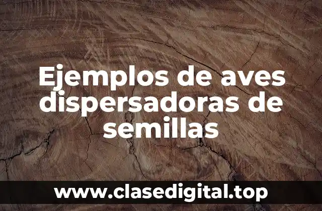 Ejemplos de aves dispersadoras de semillas