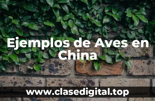 Ejemplos de Aves en China