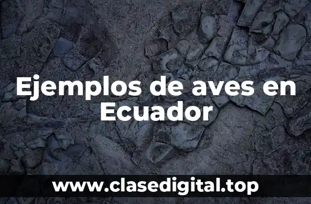 Ejemplos de aves en Ecuador