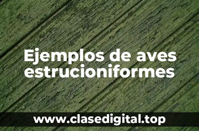 Ejemplos de aves estrucioniformes