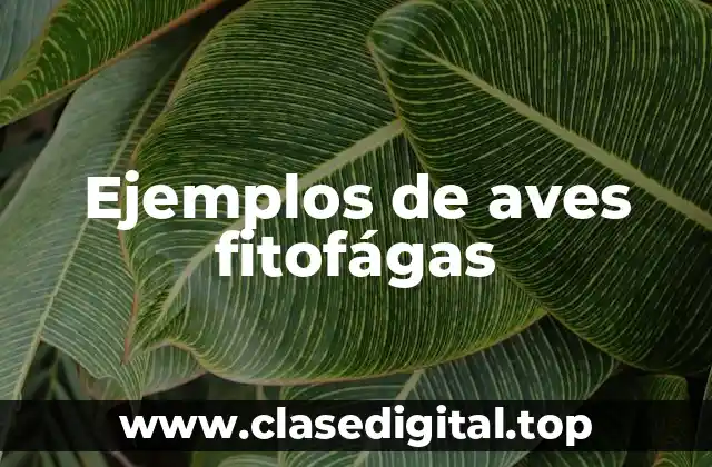 Ejemplos de aves fitofágas