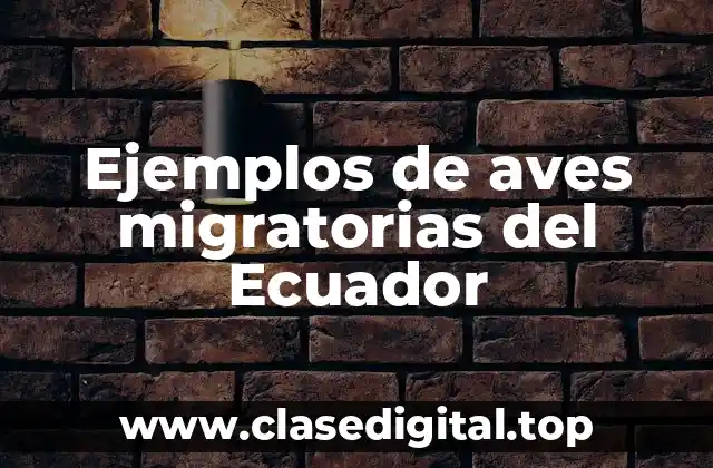 Ejemplos de aves migratorias del Ecuador