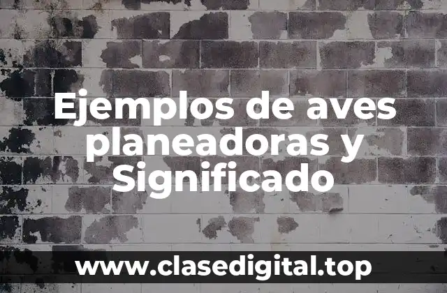 Ejemplos de aves planeadoras