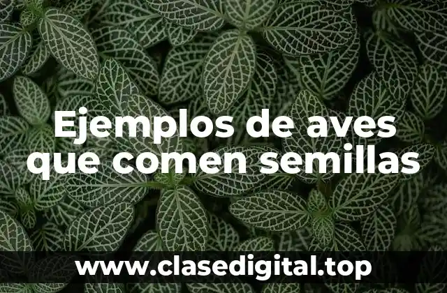 Ejemplos de aves que comen semillas