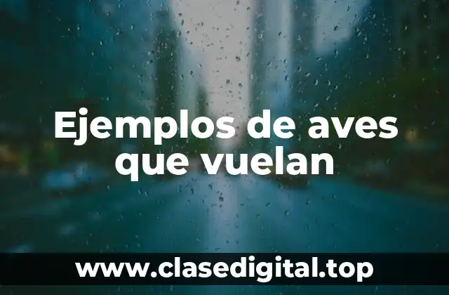 Ejemplos de aves que vuelan