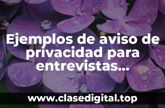 Ejemplos de aviso de privacidad para entrevistas guadalajara y Significado