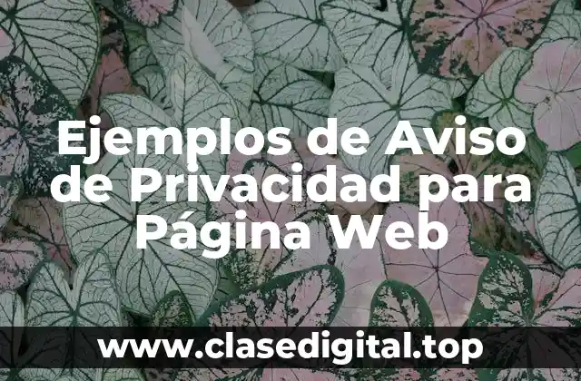 Ejemplos de Aviso de Privacidad para Página Web