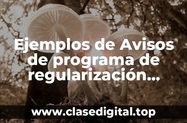Ejemplos de Avisos de programa de regularización antilavado