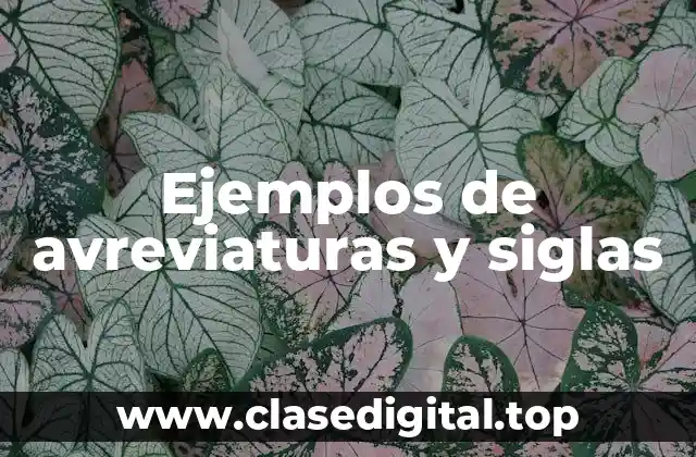Ejemplos de avreviaturas y siglas