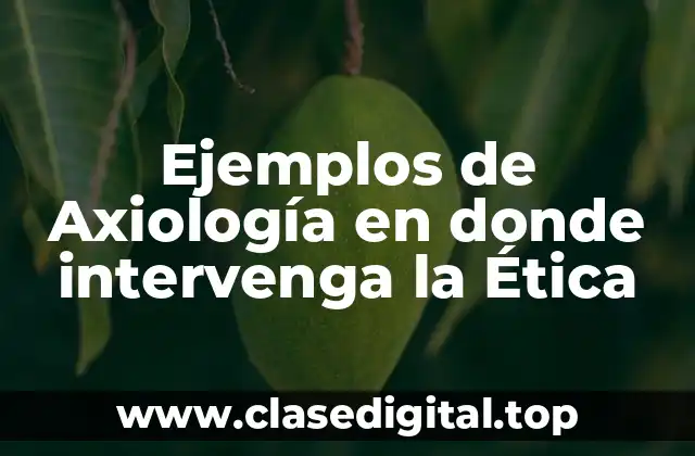 Ejemplos de Axiología en donde intervenga la Ética