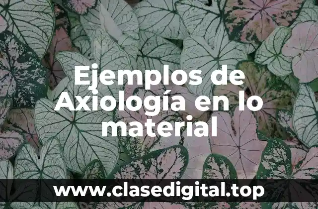 Ejemplos de Axiología en lo material