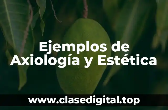 Ejemplos de Axiología y Estética