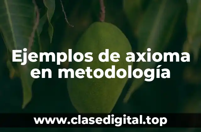 Ejemplos de axioma en metodología