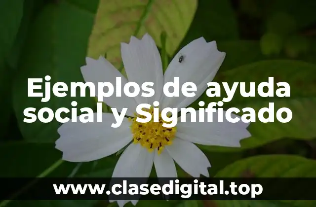 Ejemplos de ayuda social