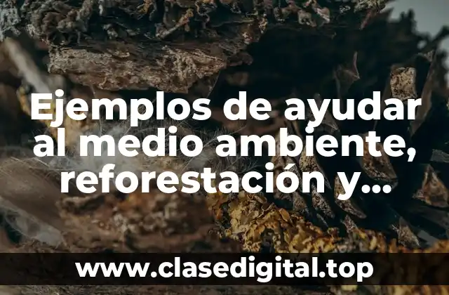 Ejemplos de ayudar al medio ambiente, reforestación y basura