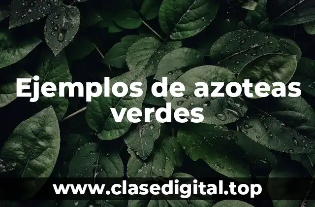 Ejemplos de azoteas verdes