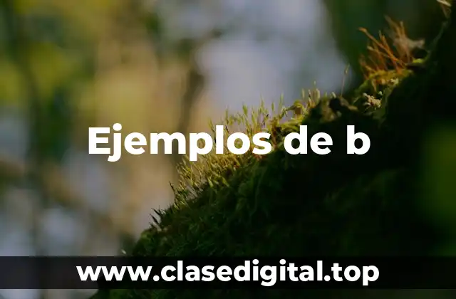 Ejemplos de b