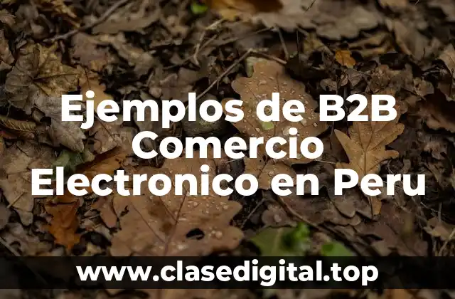 Ejemplos de B2B Comercio Electronico en Peru