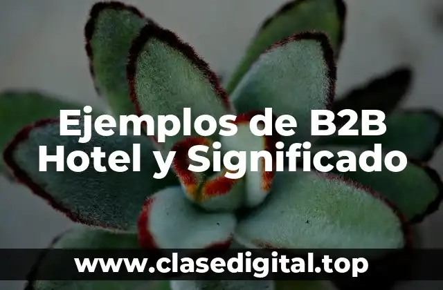Ejemplos de B2B Hotel