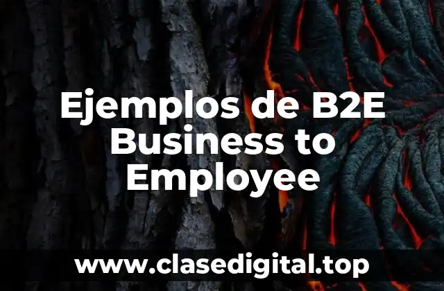 Ejemplos de B2E Business to Employee