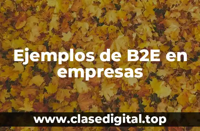 Ejemplos de B2E en empresas