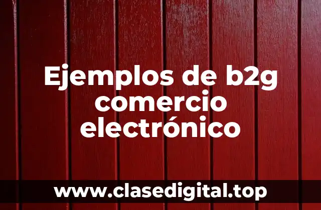 Ejemplos de b2g comercio electrónico