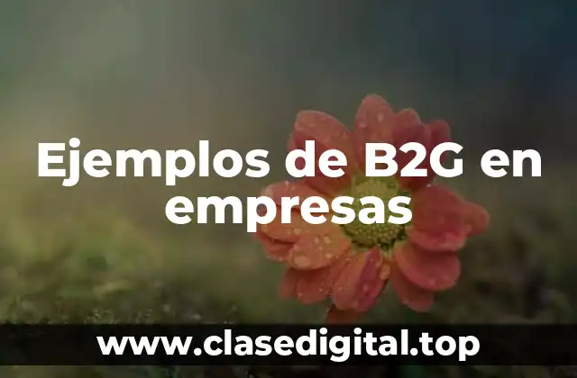 Ejemplos de B2G en empresas