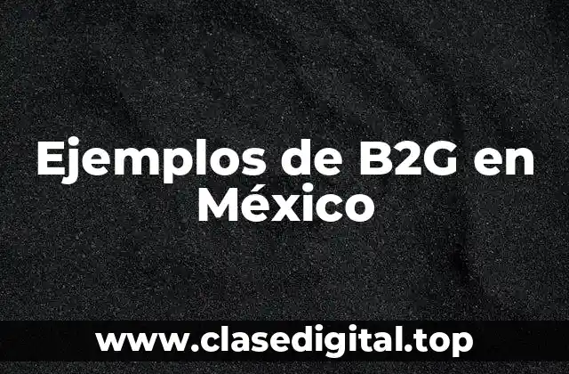 Ejemplos de B2G en México