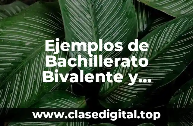 Ejemplos de Bachillerato Bivalente y Significado