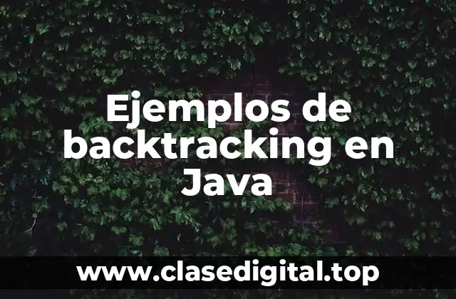 Ejemplos de backtracking en Java