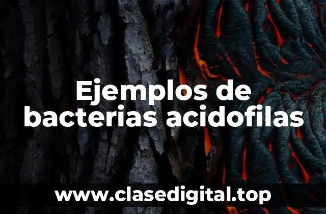 Ejemplos de bacterias acidofilas