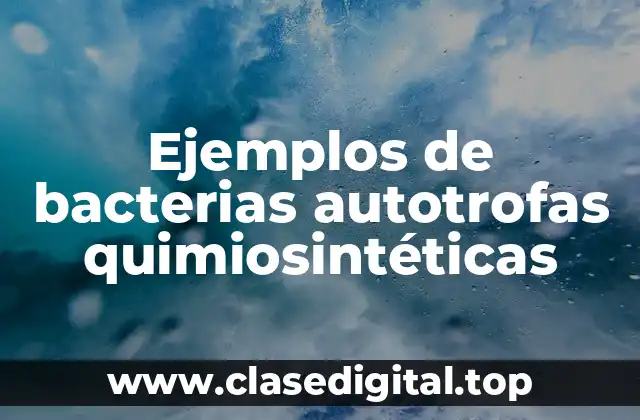 Ejemplos de bacterias autotrofas quimiosintéticas