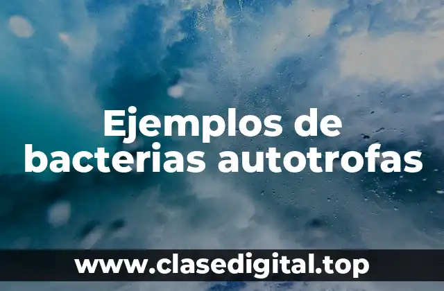 Ejemplos de bacterias autotrofas