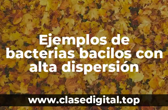 Ejemplos de bacterias bacilos con alta dispersión