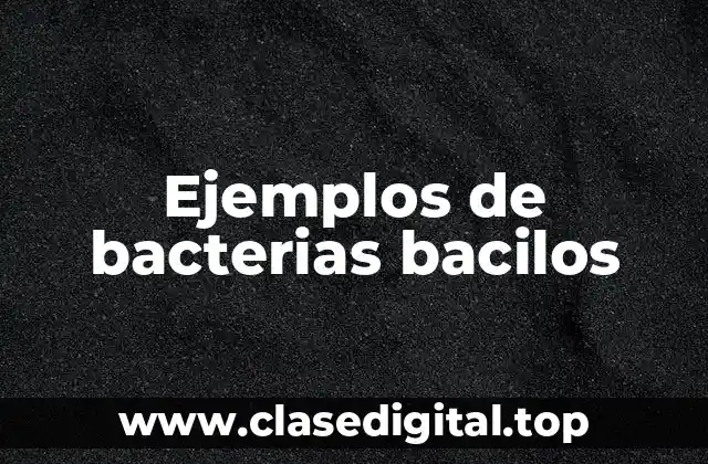 Ejemplos de bacterias bacilos