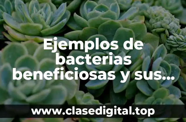 Ejemplos de bacterias beneficiosas y sus beneficios