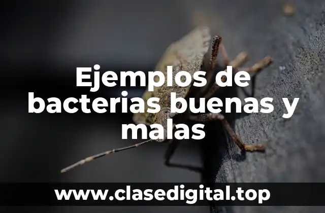 Ejemplos de bacterias buenas