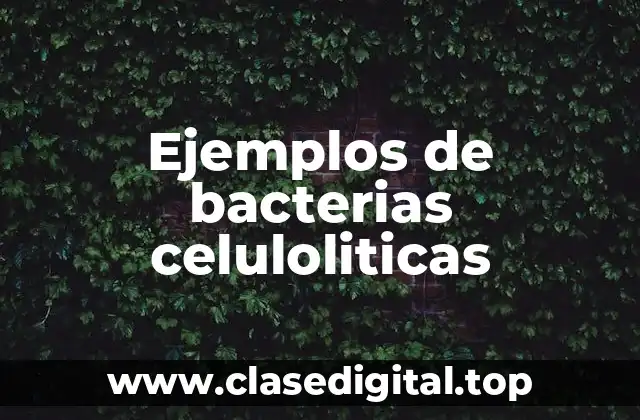 Ejemplos de bacterias celuloliticas