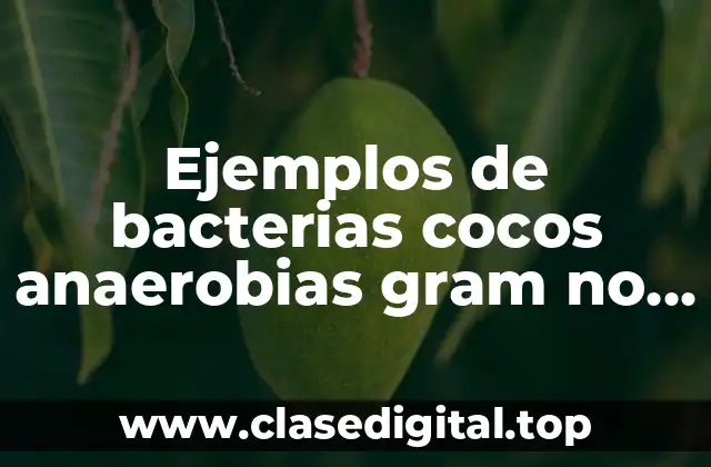 Ejemplos de bacterias cocos anaerobias gram no esporuladas