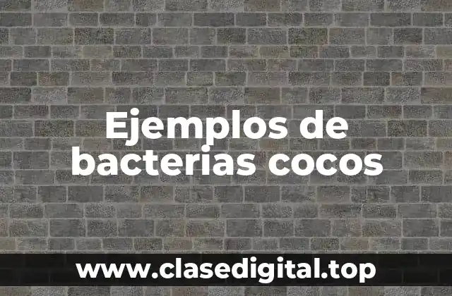 Ejemplos de bacterias cocos